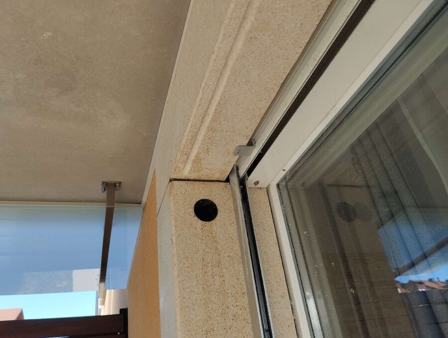 exterminateur d insectes a-Cuarnens.jpg