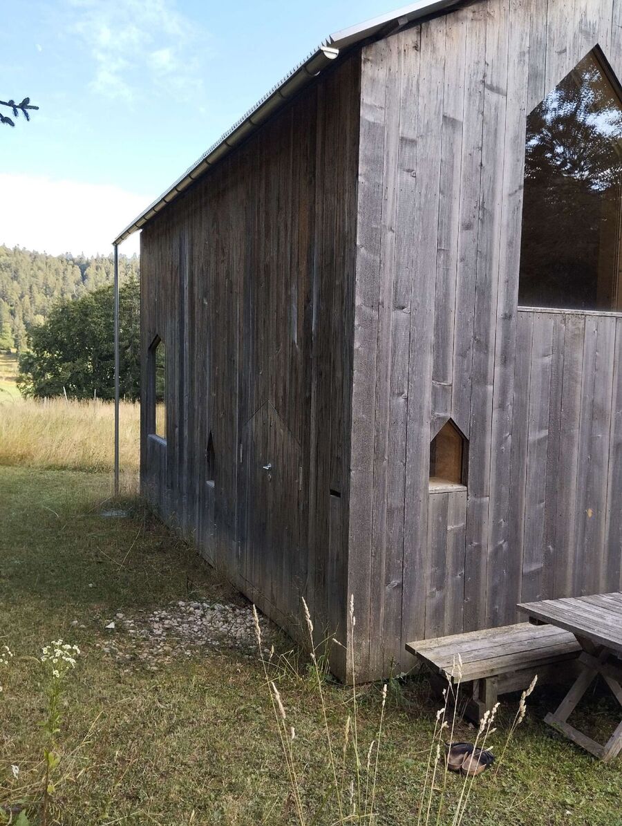 exterminateur d insectes a-Cudrefin.jpg