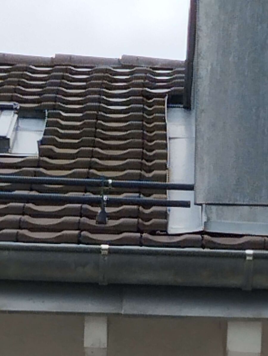 exterminateur d insectes a-Curtilles.jpg