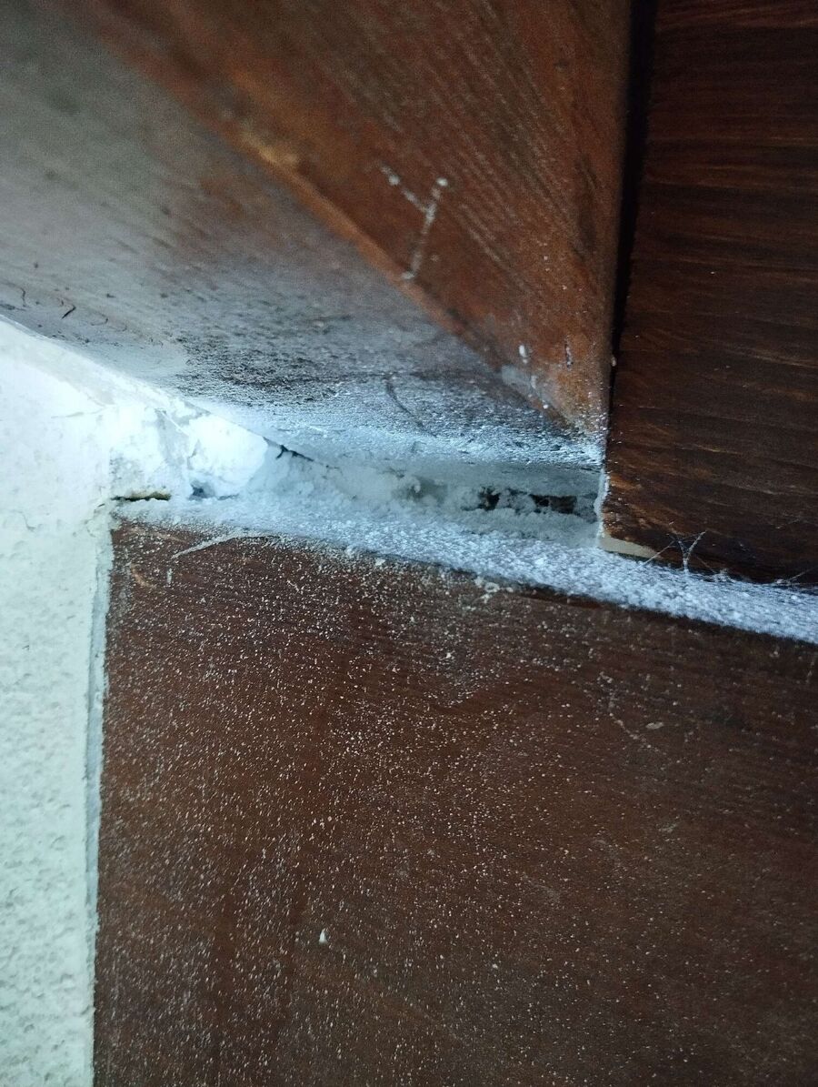 exterminateur d insectes a-Daillens.jpg