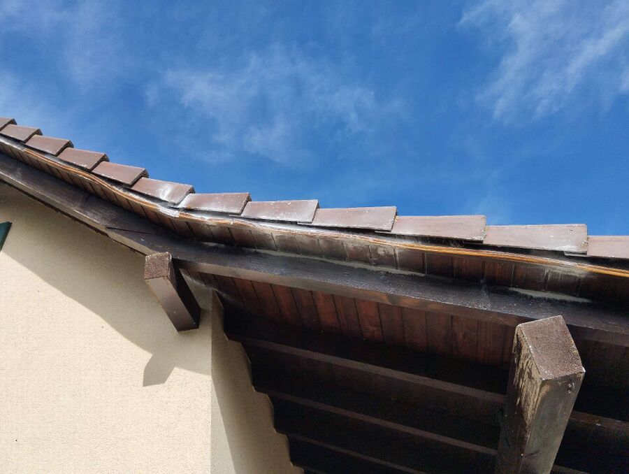 exterminateur d insectes a-Genève.jpg