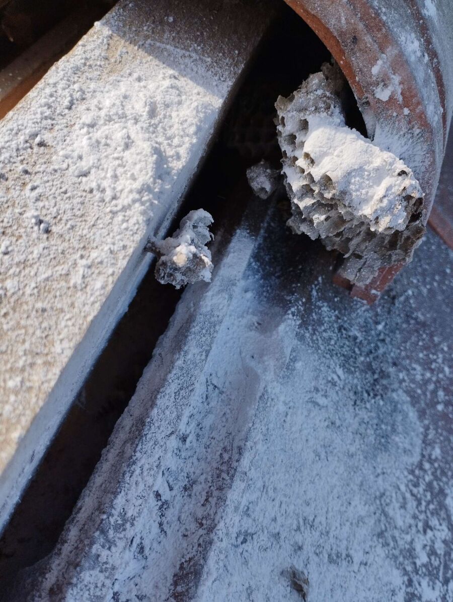 exterminateur d insectes a-Denges.jpg