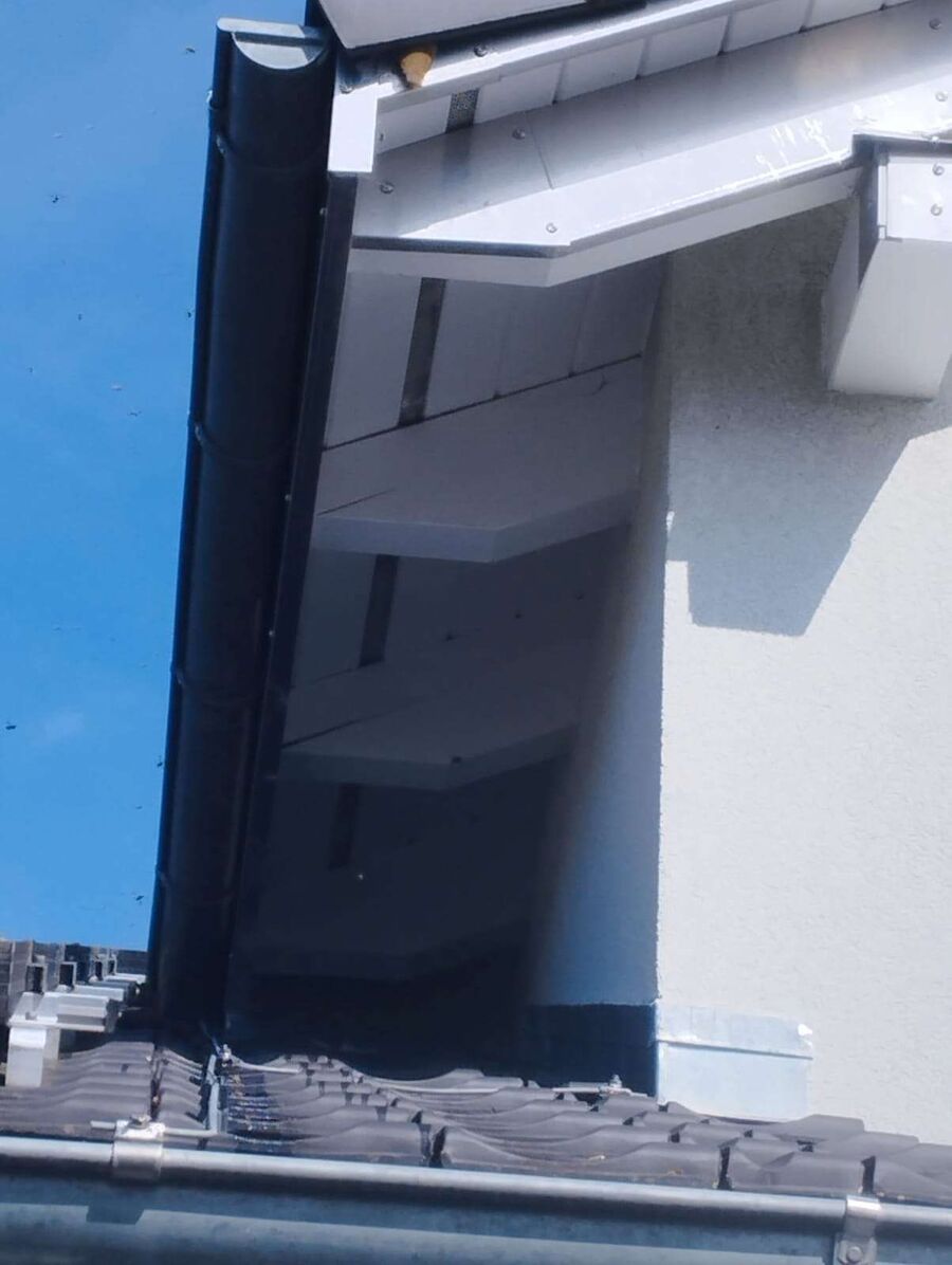 exterminateur d insectes a-Genthod.jpg