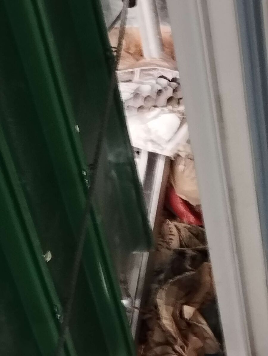 exterminateur d insectes a-Ependes (VD).jpg