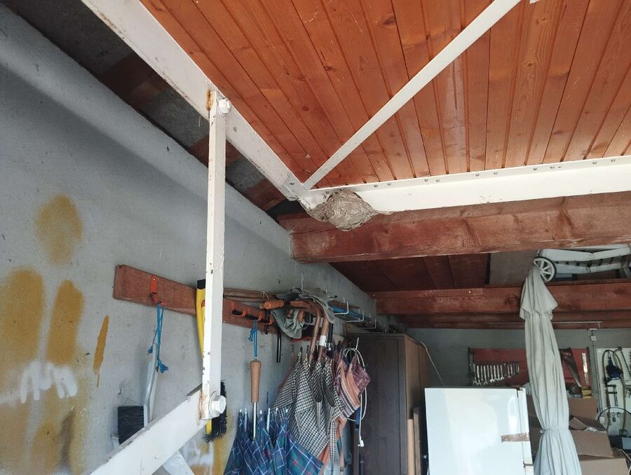 exterminateur d insectes a-Essertines-sur-Yverdon.jpg