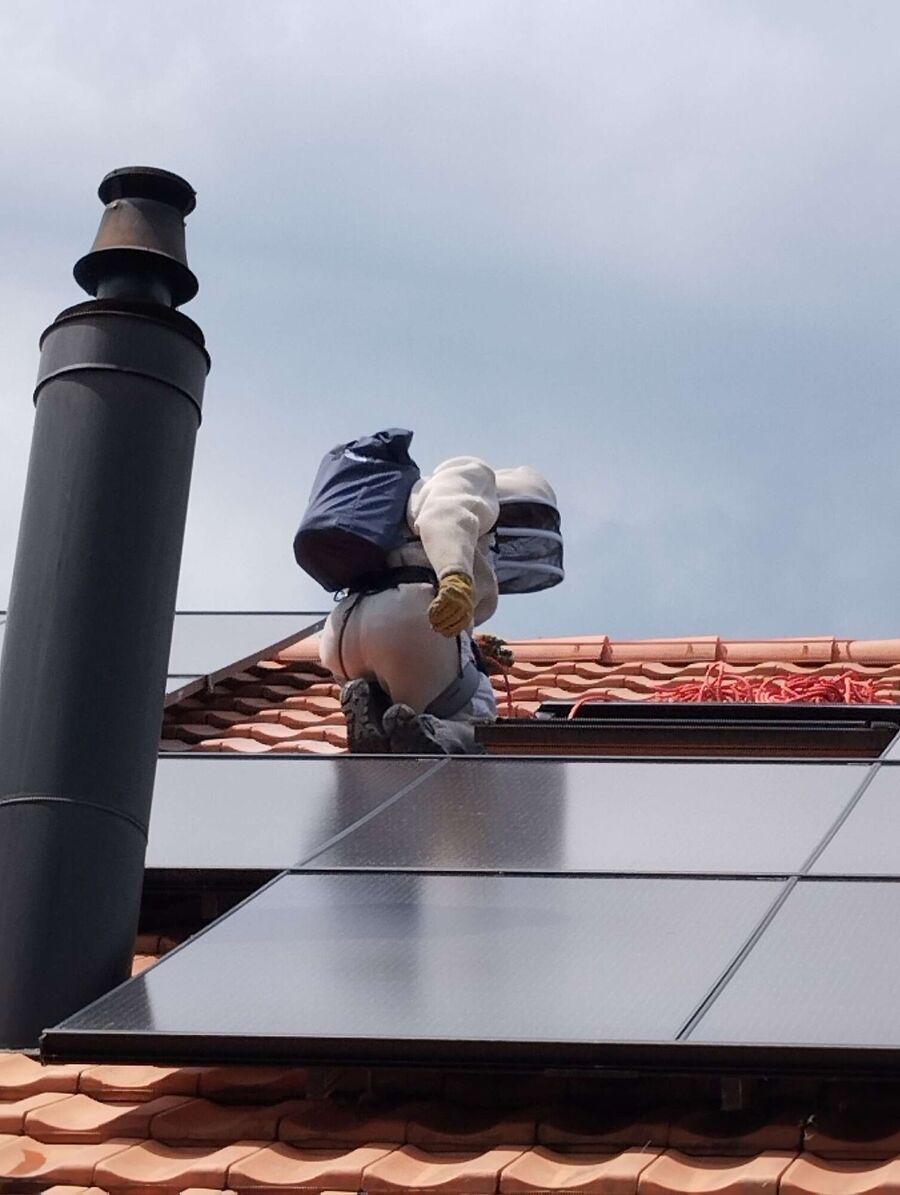 exterminateur d insectes a-Etoy.jpg