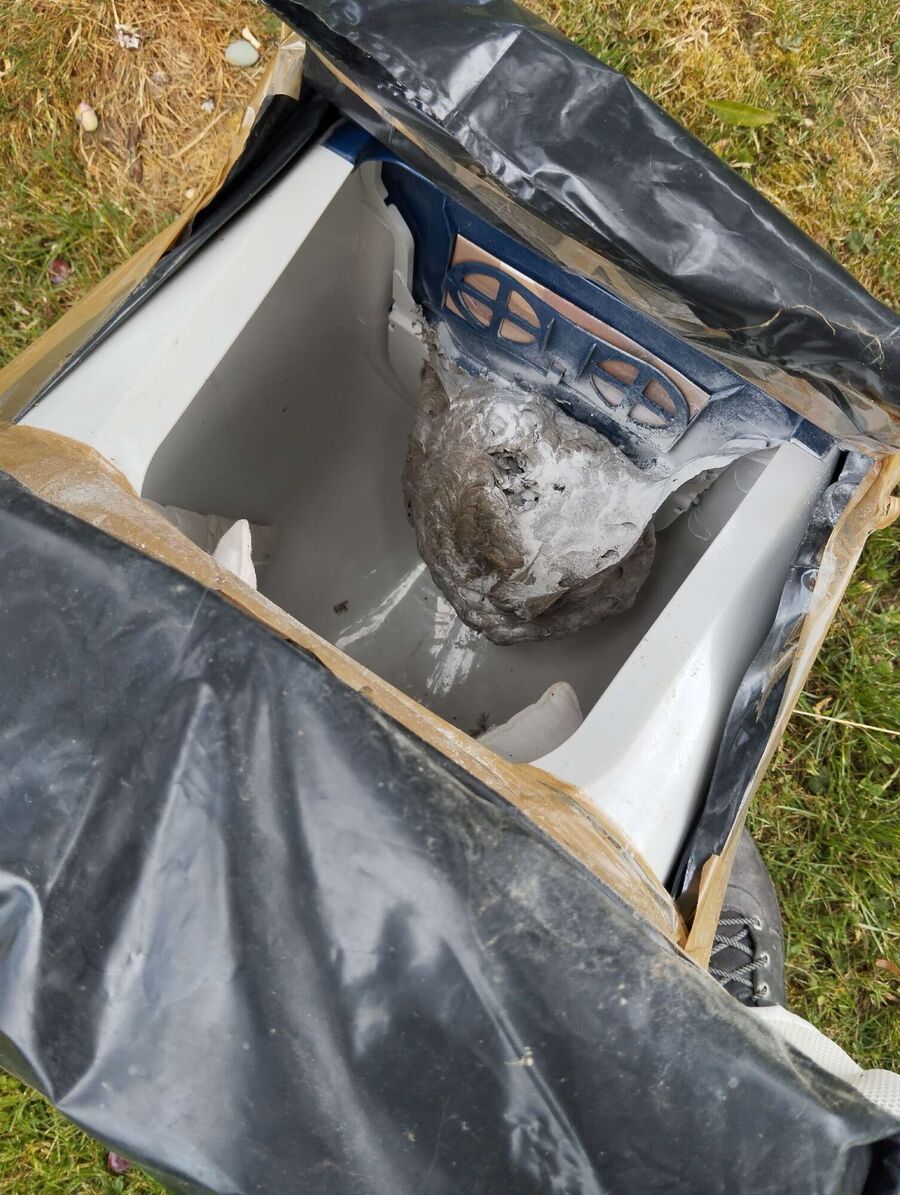 exterminateur d insectes a-Eysins.jpg