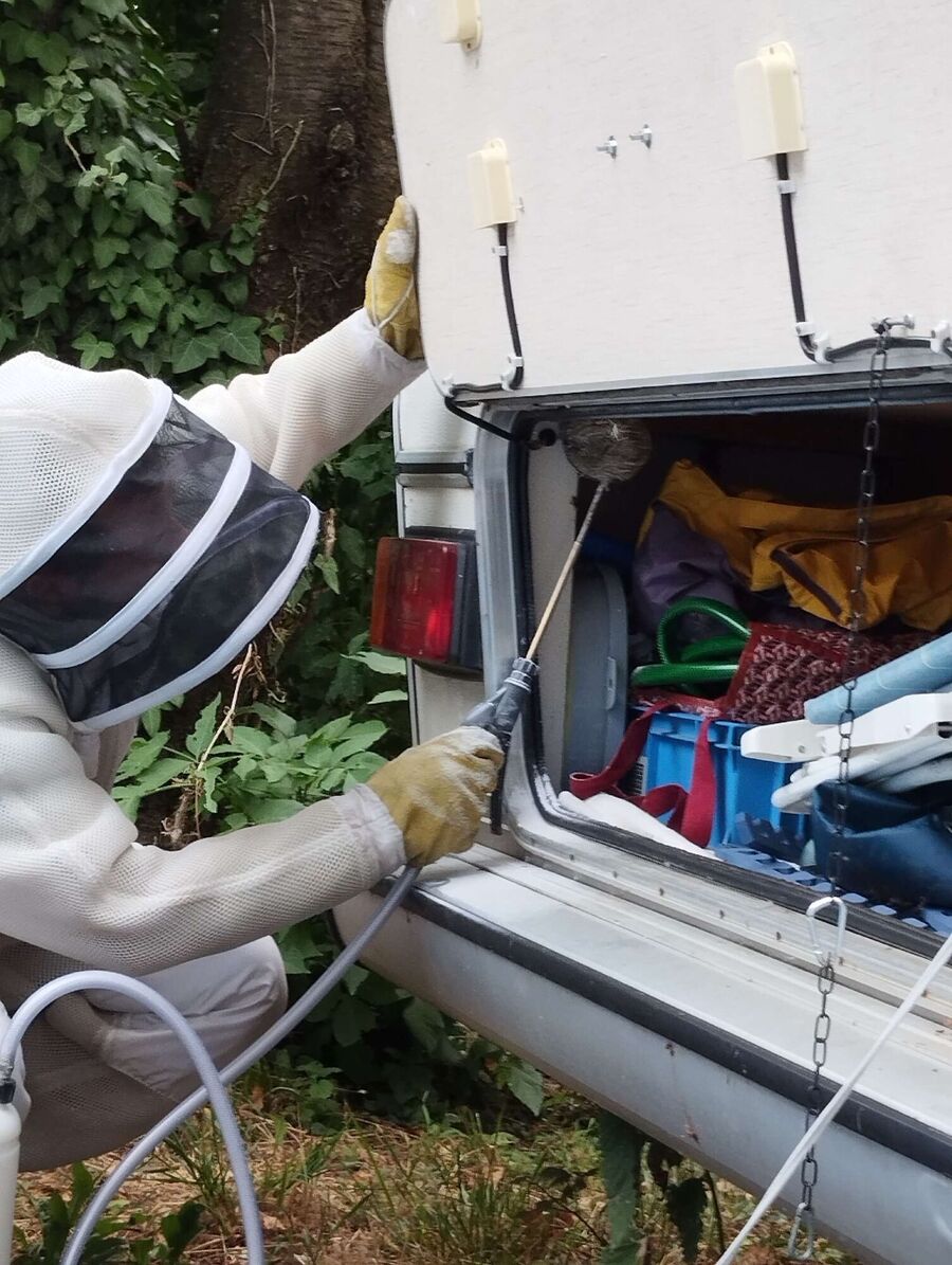 exterminateur d insectes a-Fey.jpg