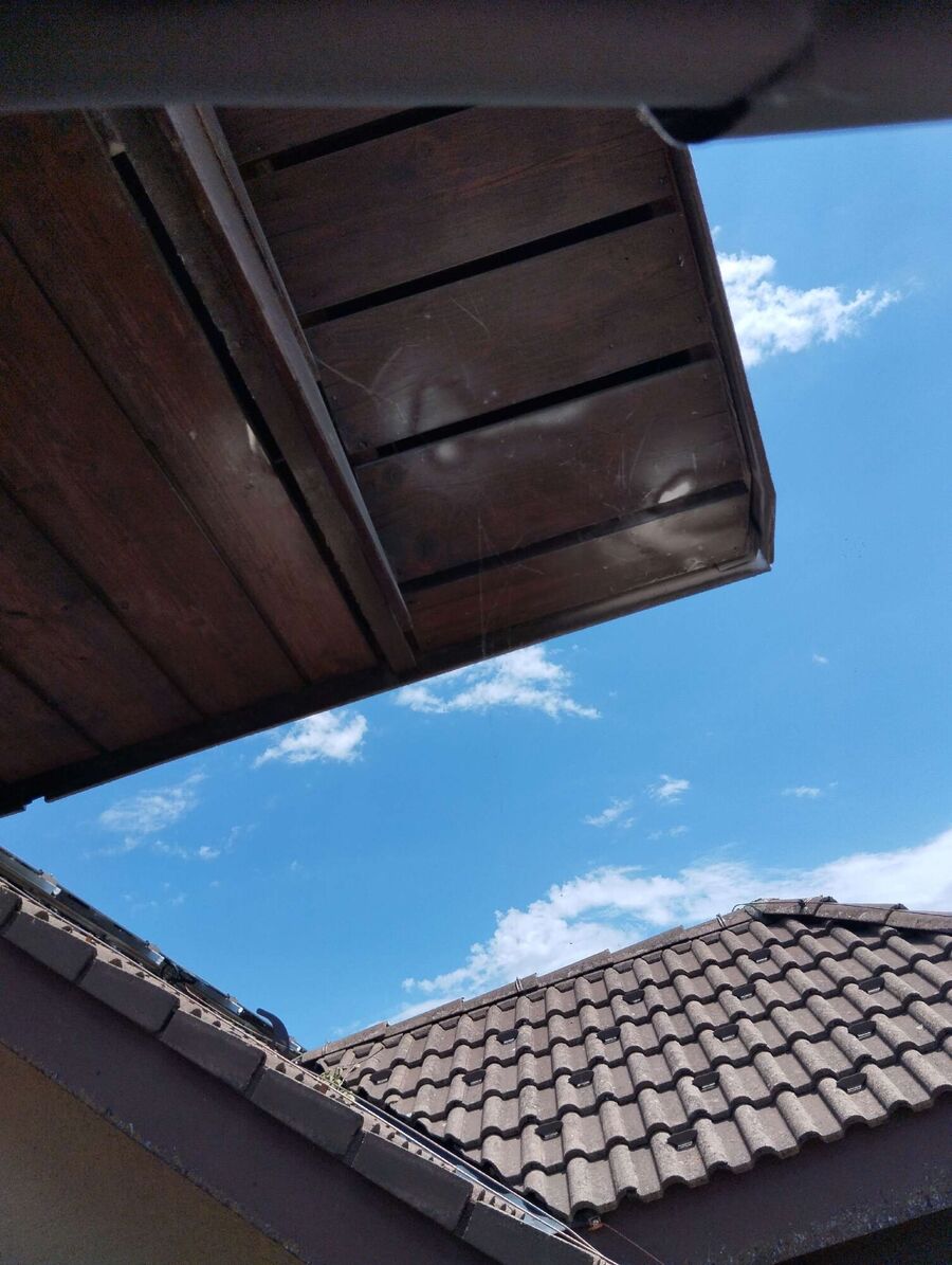 exterminateur d insectes a-Forel (Lavaux).jpg