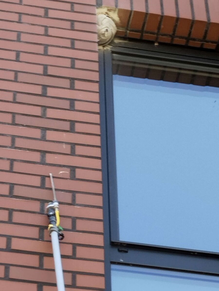 exterminateur d insectes a-Froideville.jpg