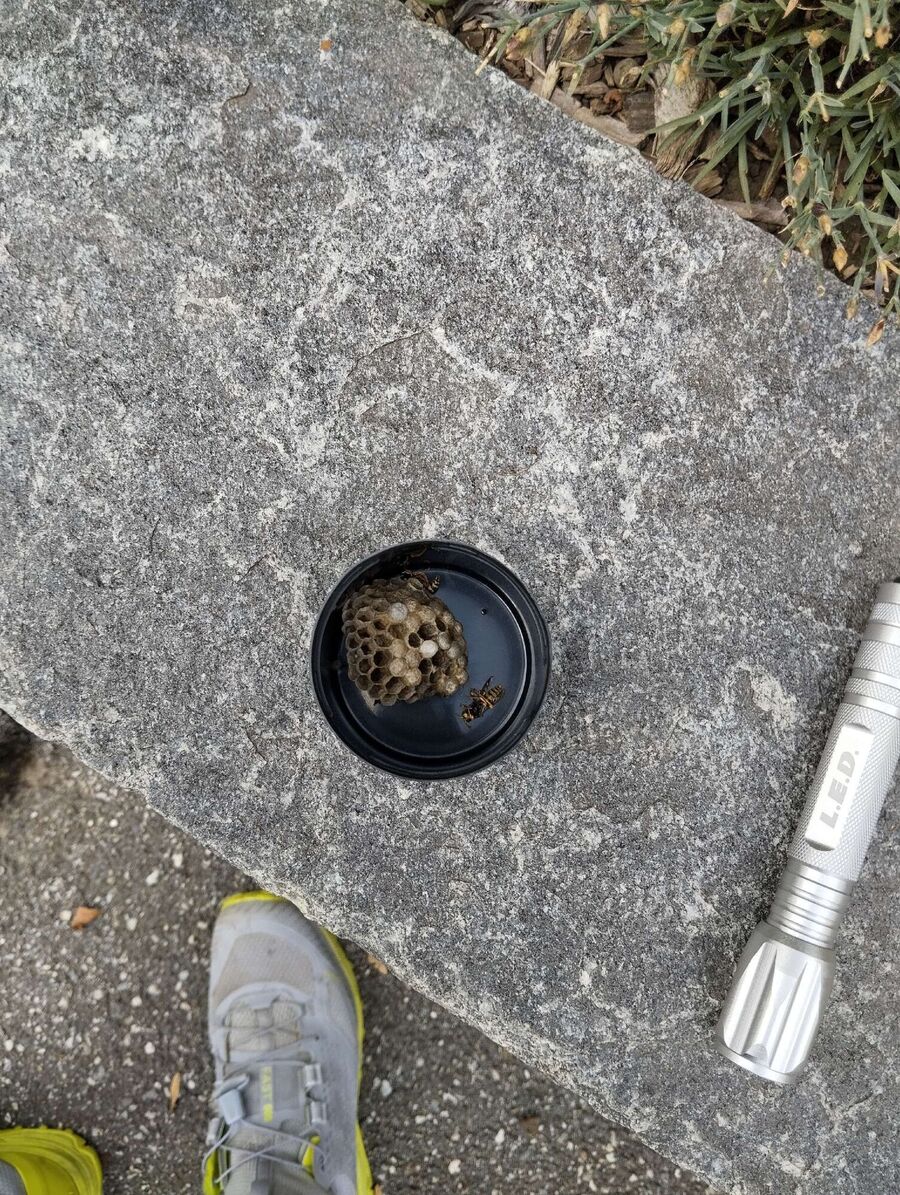 exterminateur d insectes a-Gingins.jpg