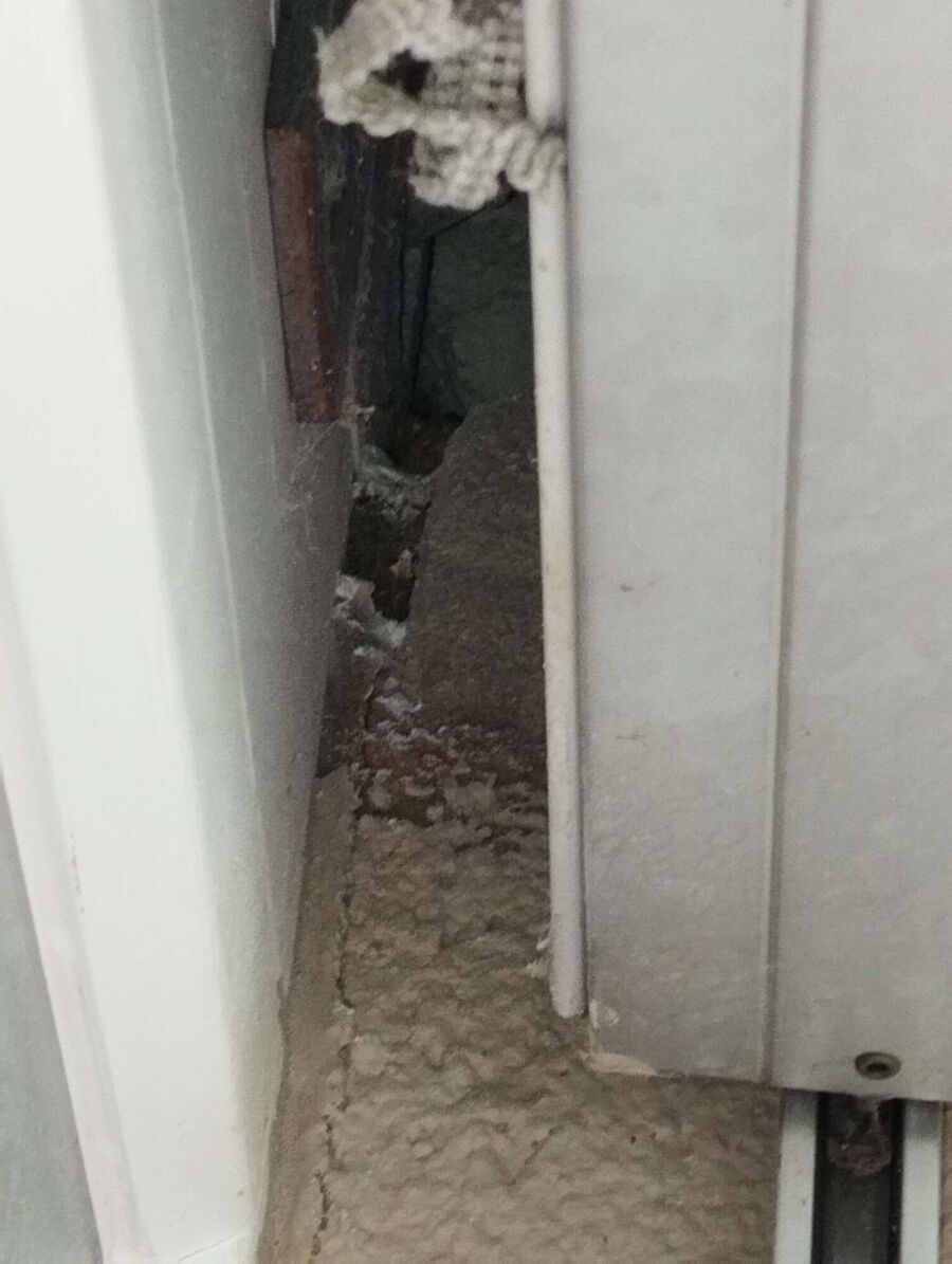 exterminateur d insectes a-Givrins.jpg