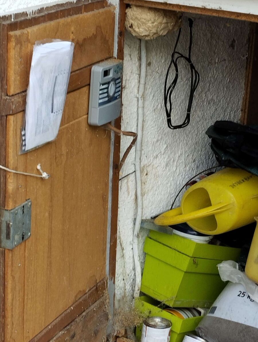 exterminateur d insectes a-Grancy.jpg