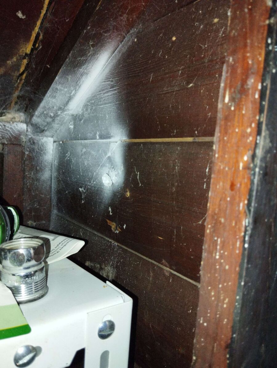 exterminateur d insectes a-Jorat-Mézières.jpg