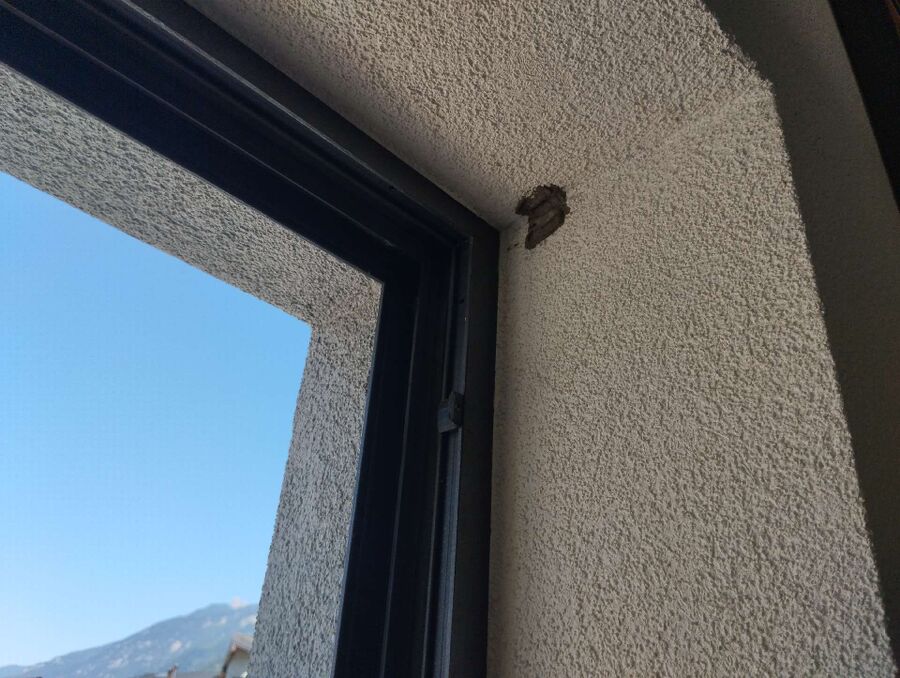 exterminateur d insectes a-La Chaux (Cossonay).jpg