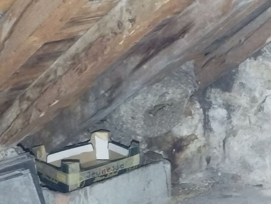 exterminateur d insectes a-La Sarraz.jpg