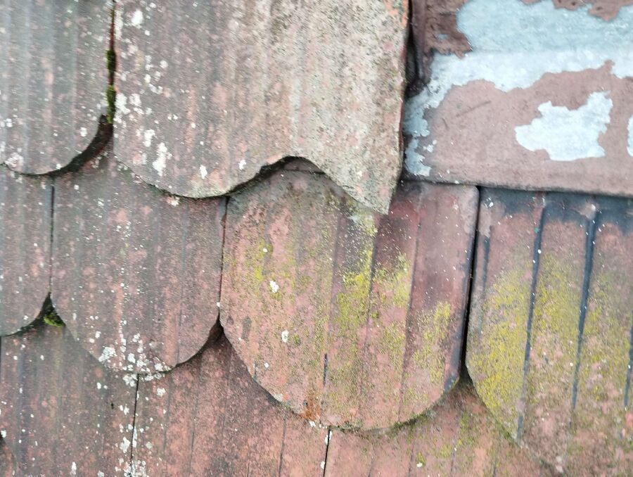 exterminateur d insectes a-L'Abergement.jpg