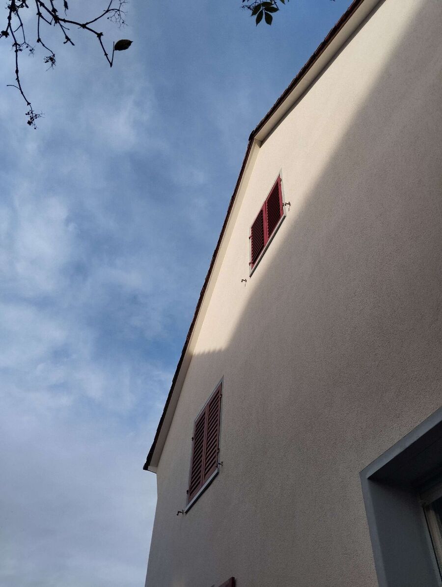 exterminateur d insectes a-Lausanne.jpg