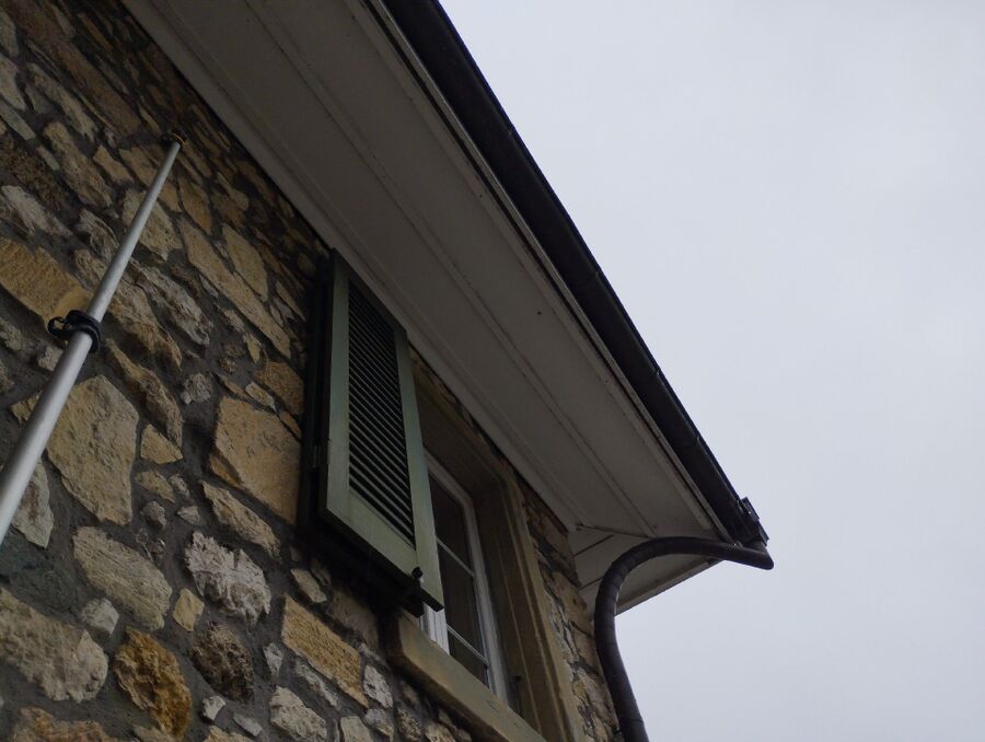 exterminateur d insectes a-Lavey-Morcles.jpg