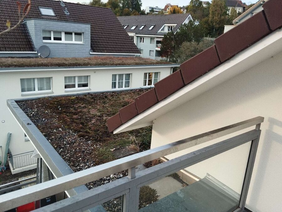 exterminateur d insectes a-Le Lieu.jpg