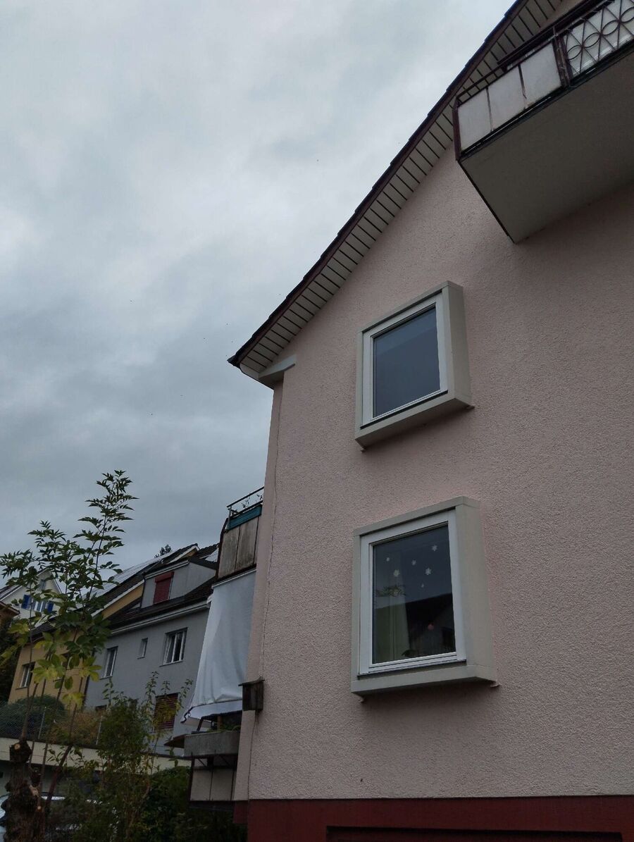 exterminateur d insectes a-Le Mont-sur-Lausanne.jpg