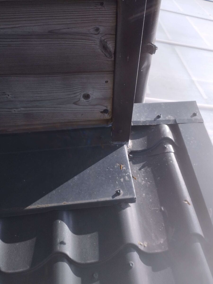 exterminateur d insectes a-Le Grand-Saconnex.jpg