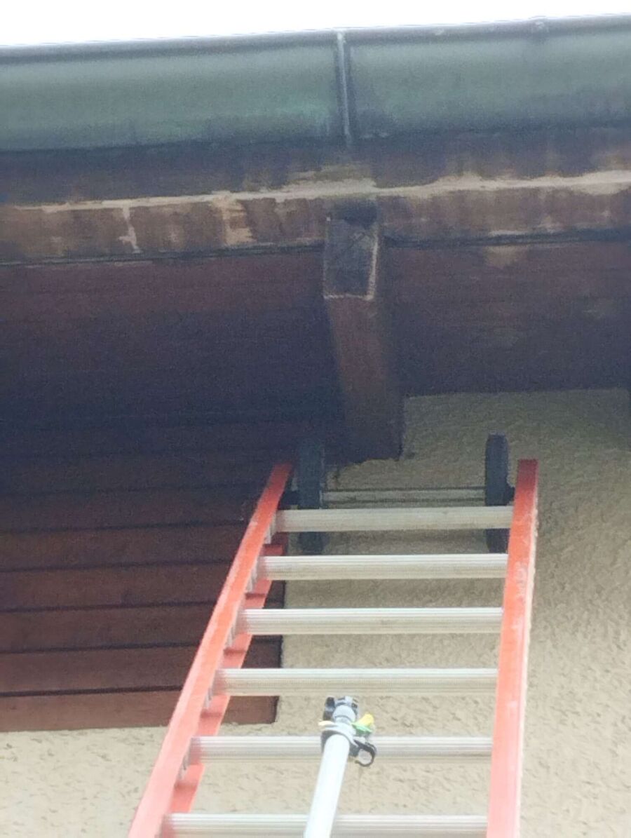 exterminateur d insectes a-Lignerolle.jpg