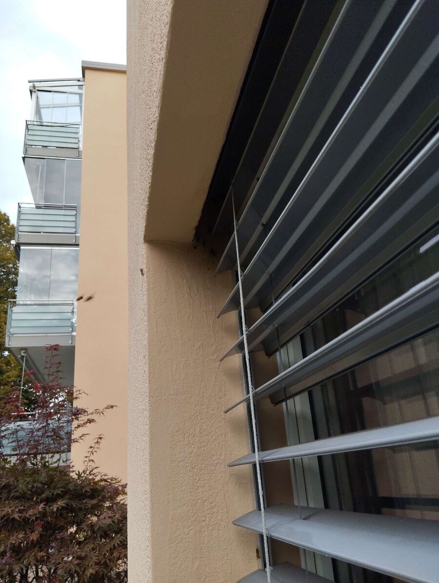 exterminateur d insectes a-L'Isle.jpg