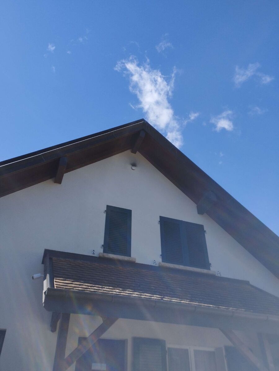 exterminateur d insectes a-Meinier.jpg