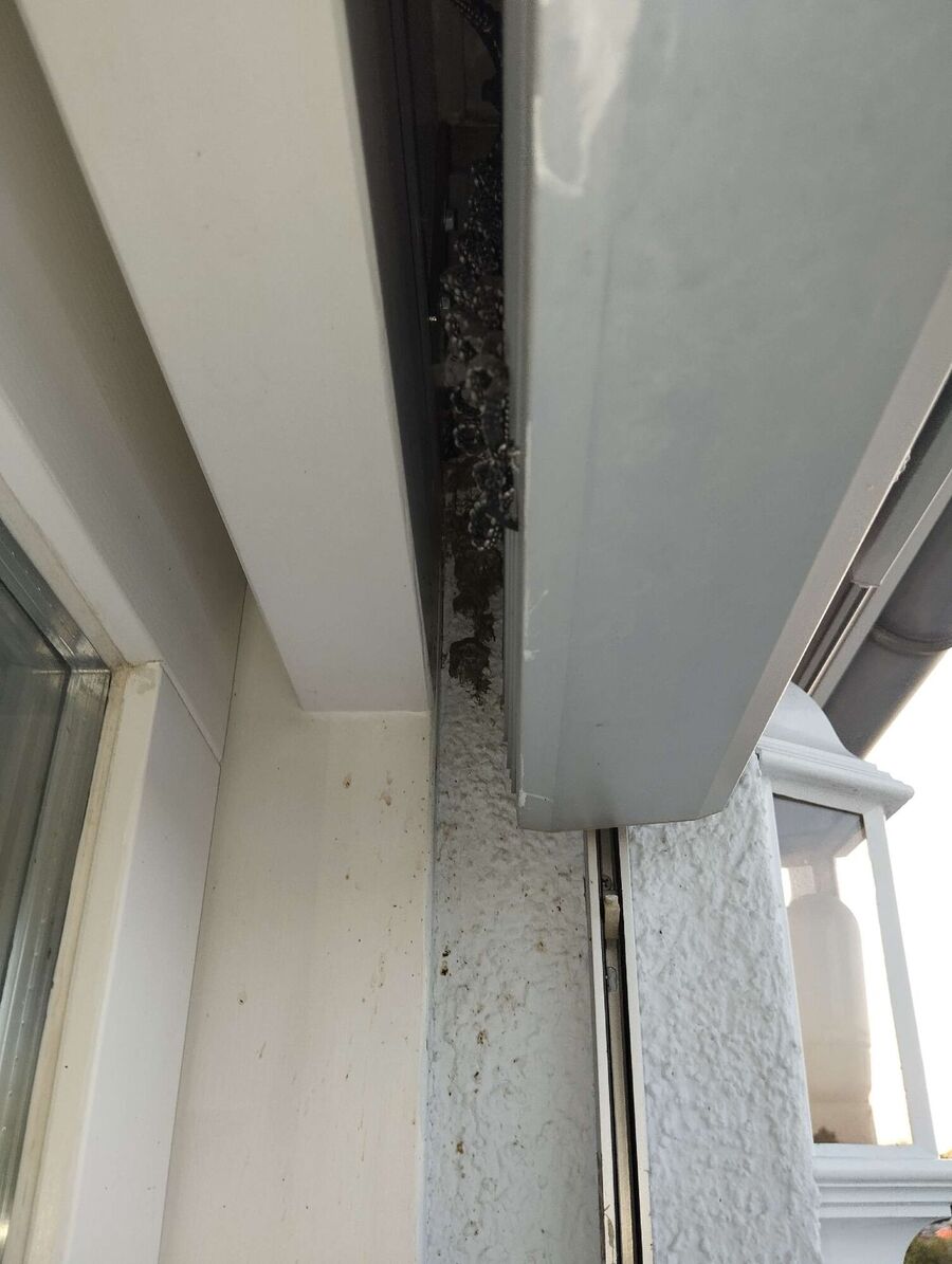 exterminateur d insectes a-Lully (VD).jpg