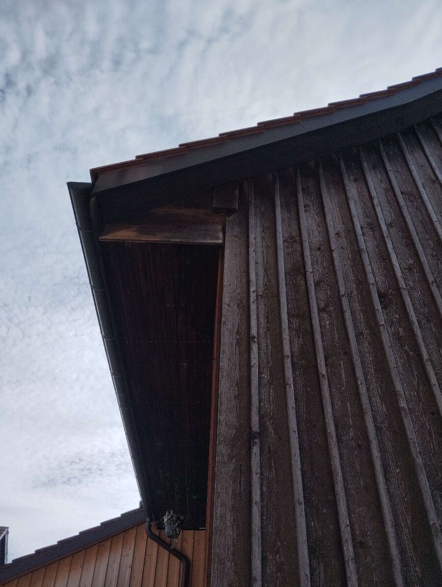 exterminateur d insectes a-Lussy-sur-Morges.jpg