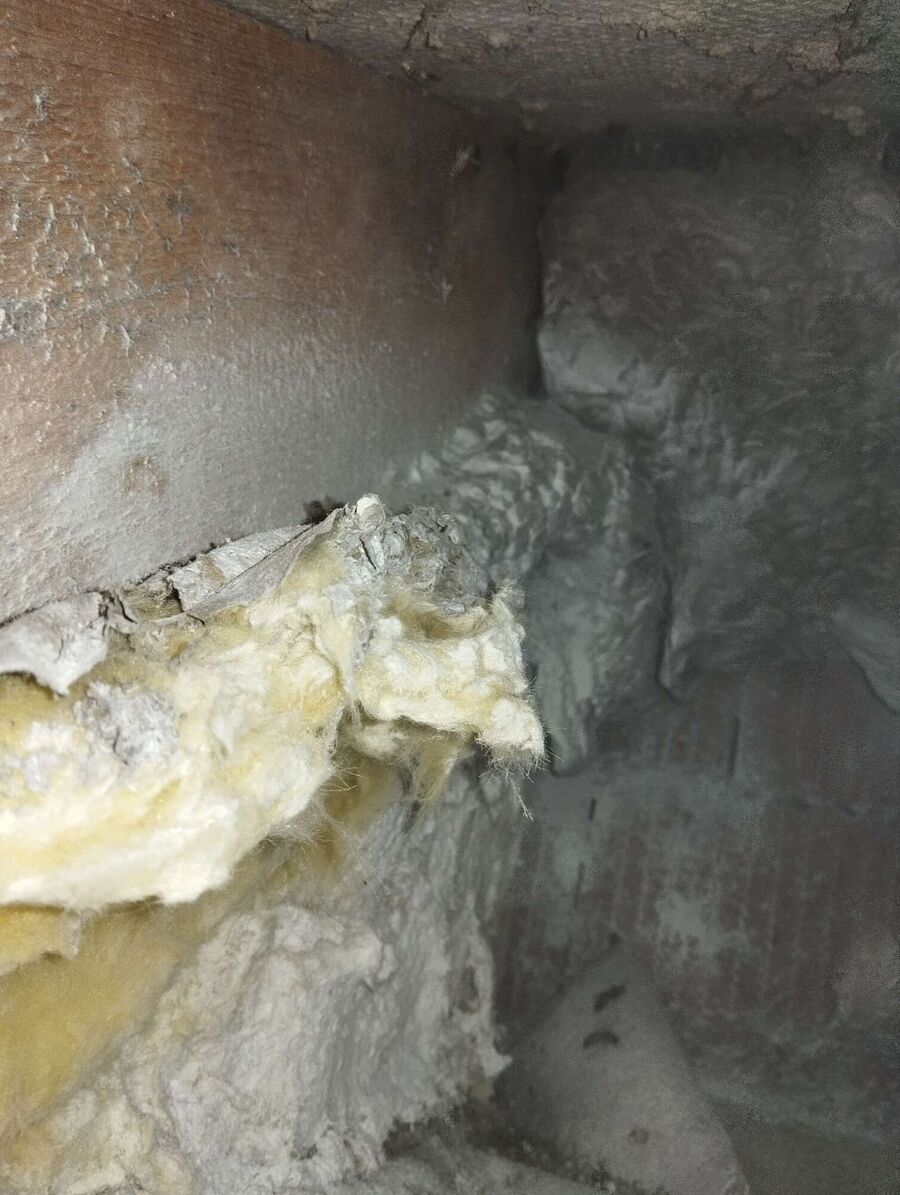 exterminateur d insectes a-Maracon.jpg