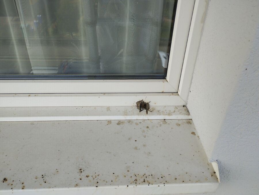 exterminateur d insectes a-Mathod.jpg