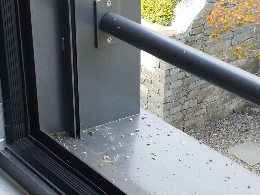 exterminateur d insectes a-Mauraz.jpg