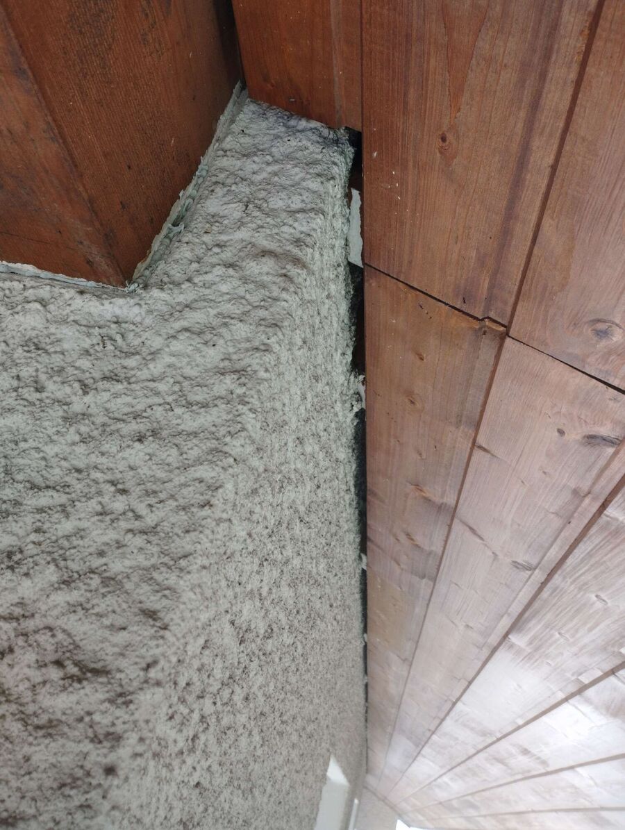 exterminateur d insectes a-Meyrin.jpg