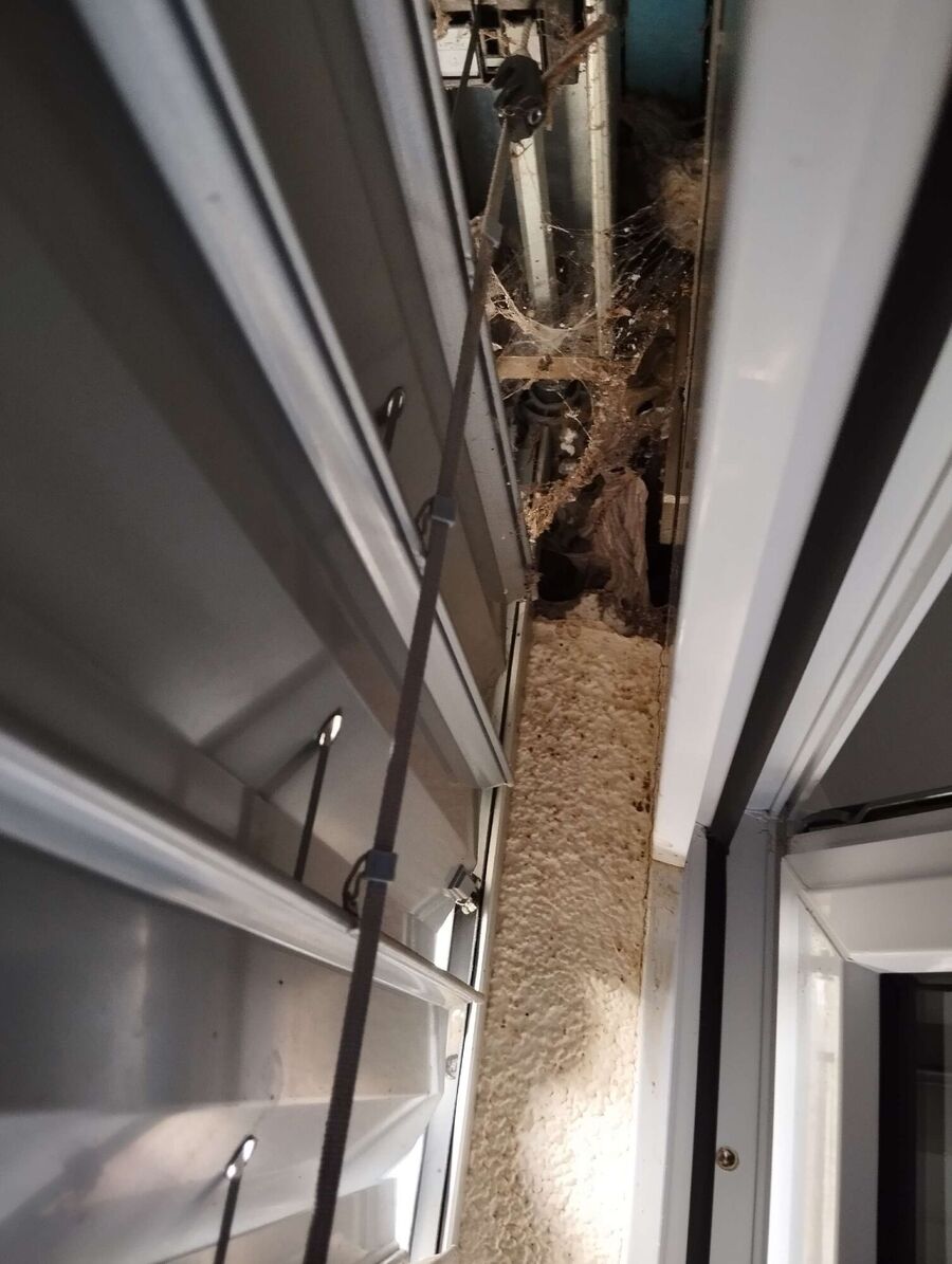 exterminateur d insectes a-Mies.jpg