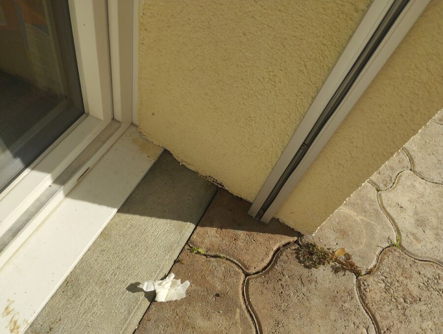 exterminateur d insectes a-Missy.jpg