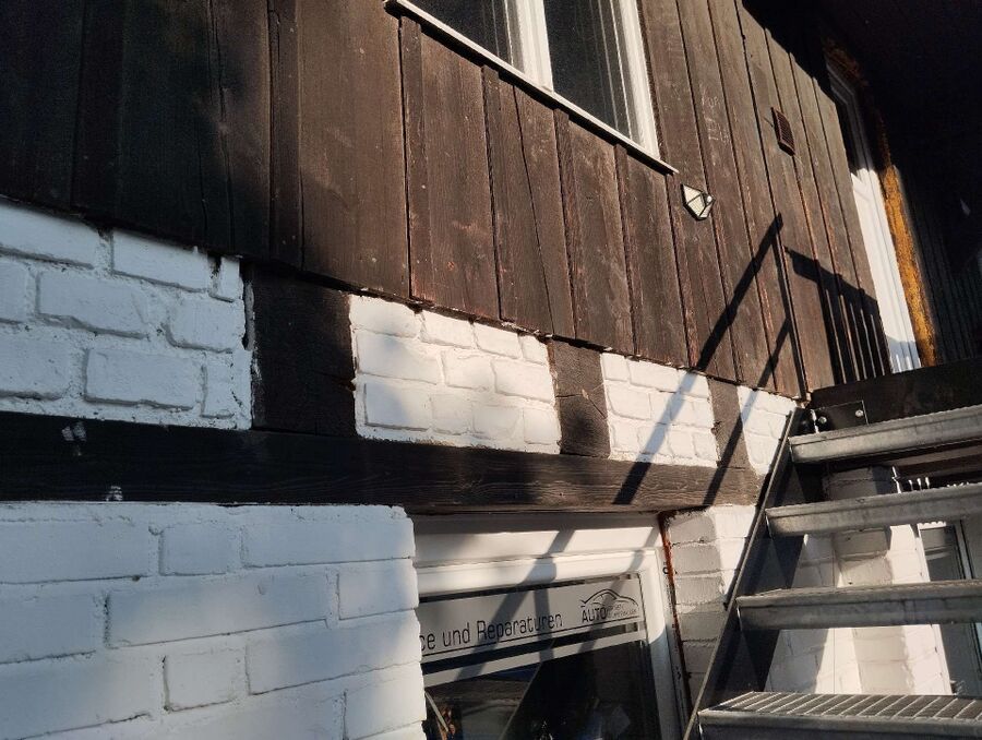 exterminateur d insectes a-Moiry.jpg