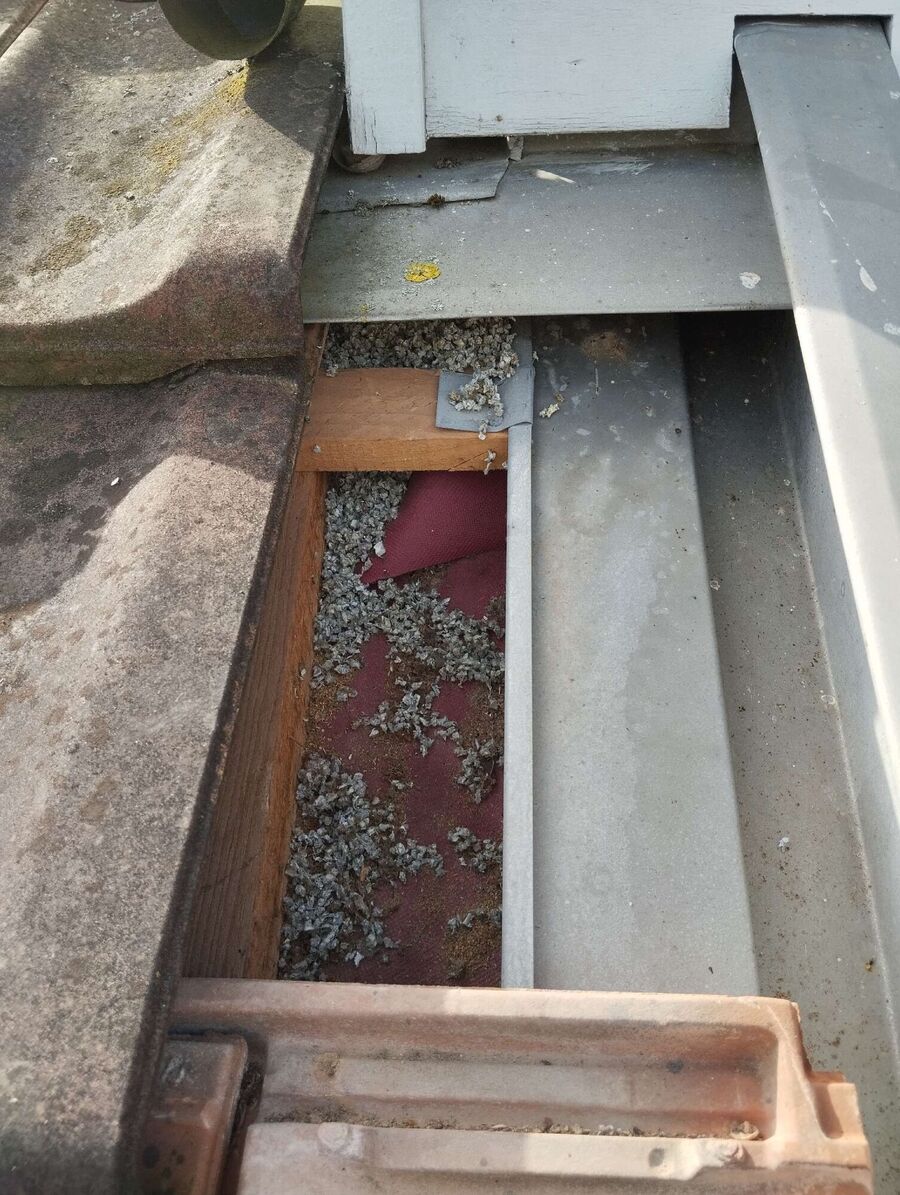 exterminateur d insectes a-Mollens (VD).jpg