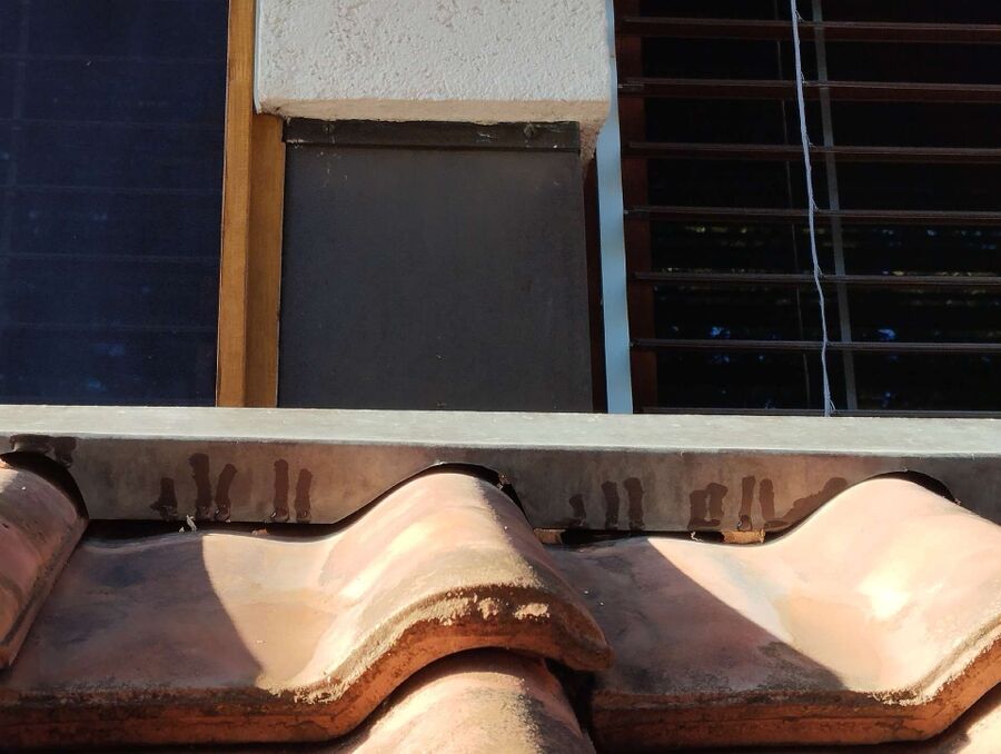 exterminateur d insectes a-Onex.jpg