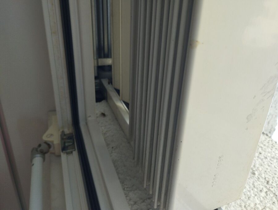 exterminateur d insectes a-Montpreveyres.jpg