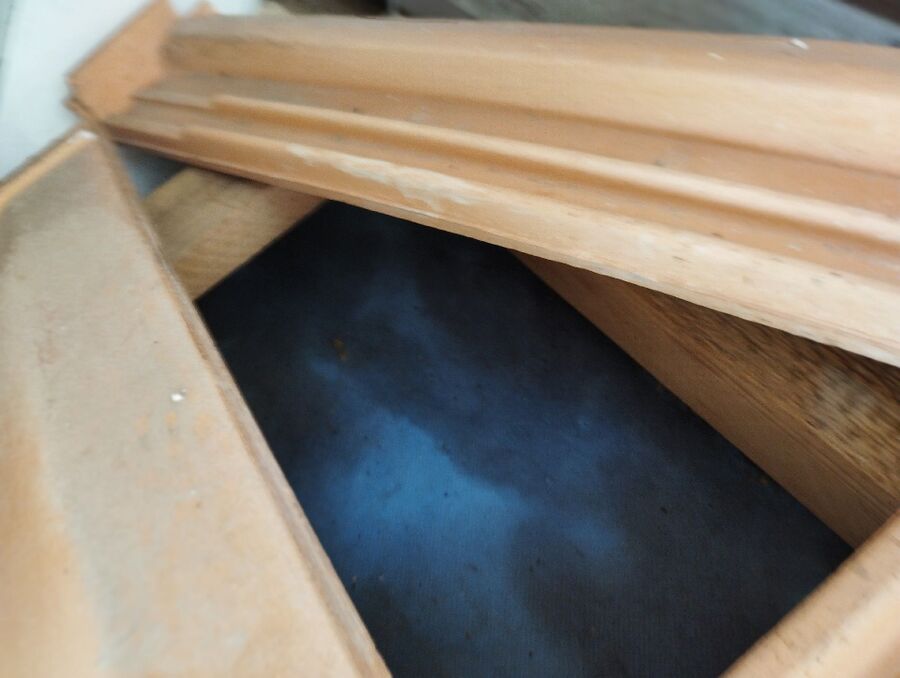 exterminateur d insectes a-Montricher.jpg