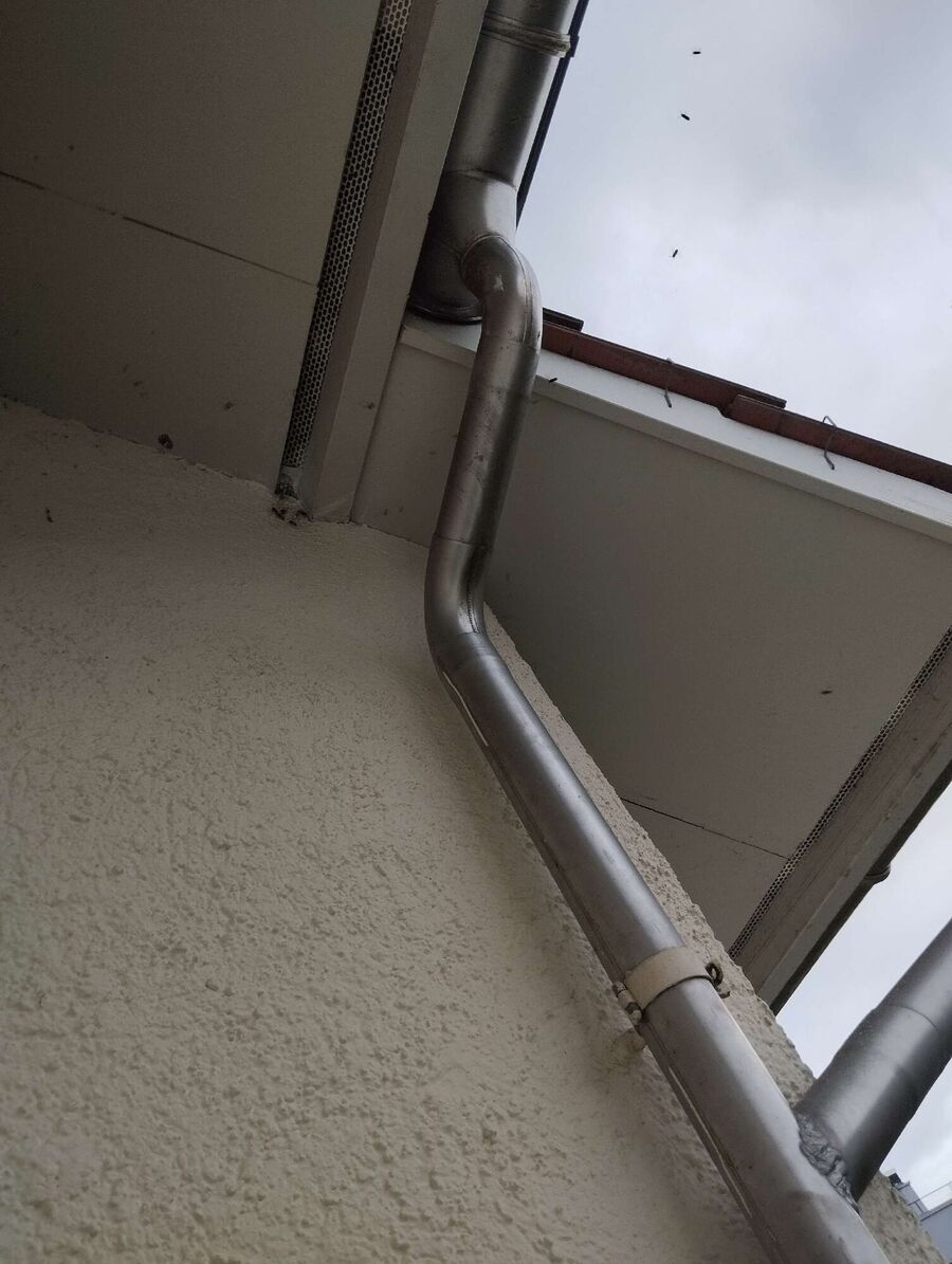 exterminateur d insectes a-Ogens.jpg