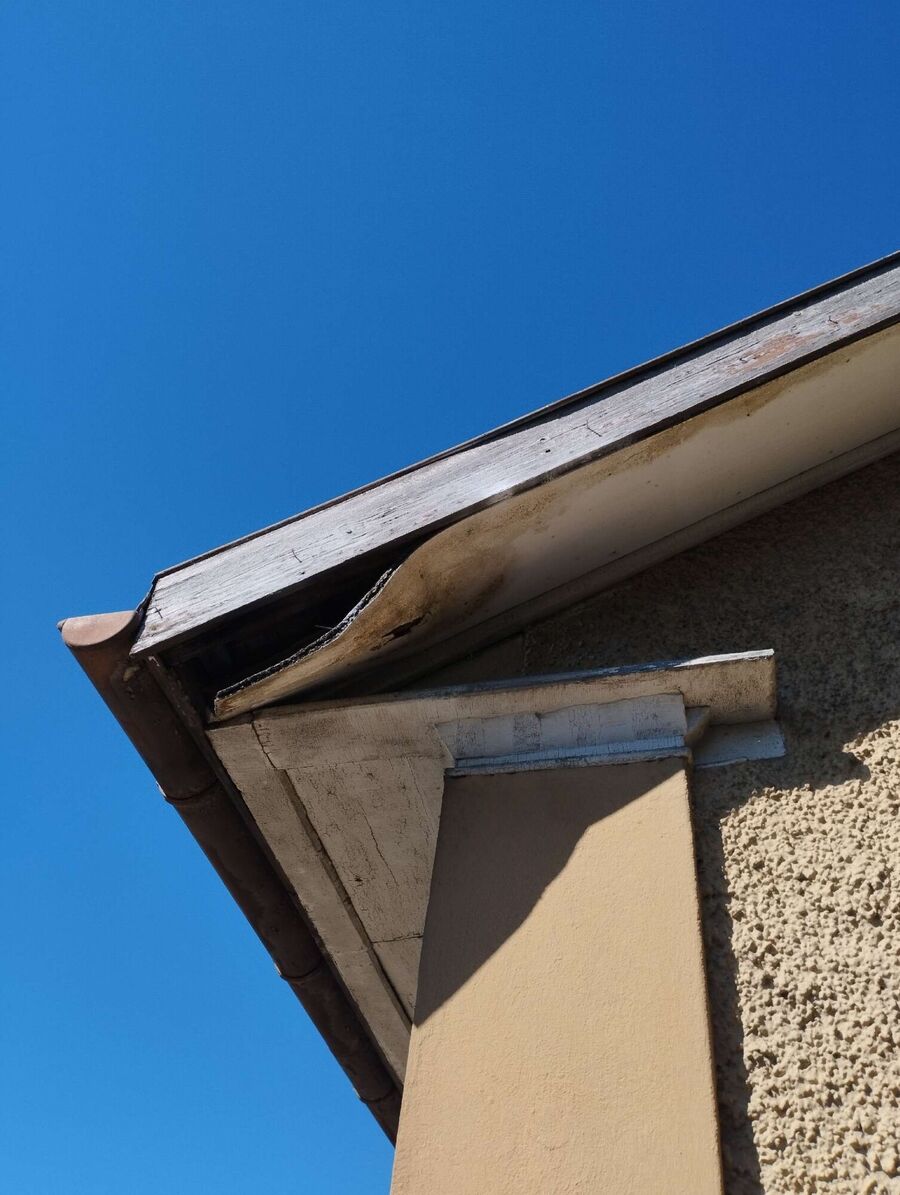 exterminateur d insectes a-Orges.jpg