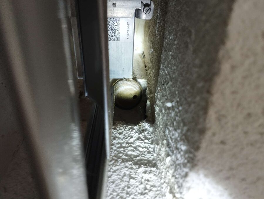 exterminateur d insectes a-Perroy.jpg