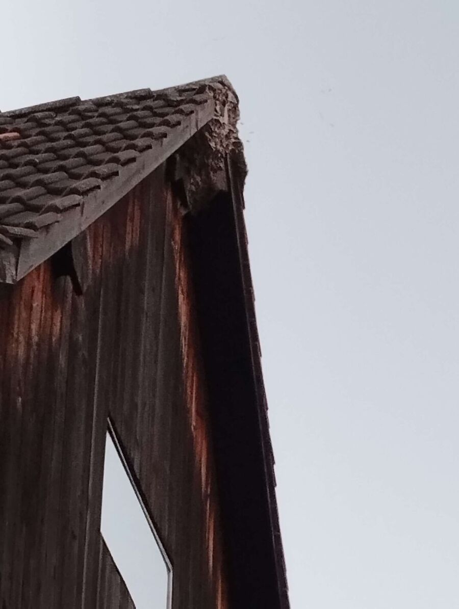 exterminateur d insectes a-Romanel-sur-Morges.jpg