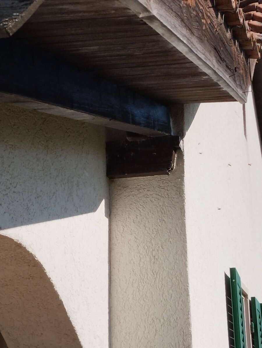 exterminateur d insectes a-Rossenges.jpg