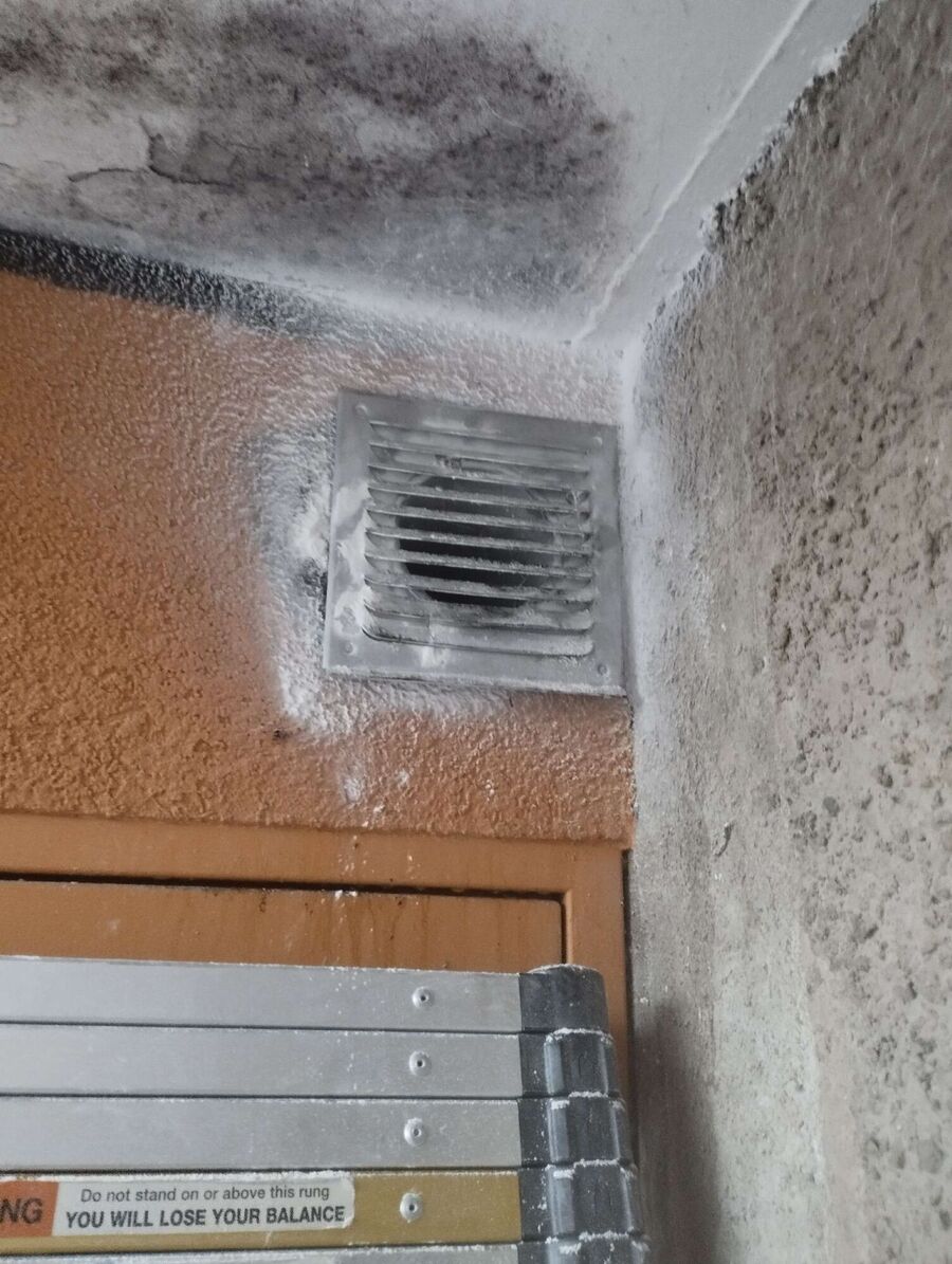 exterminateur d insectes a-Rougemont.jpg