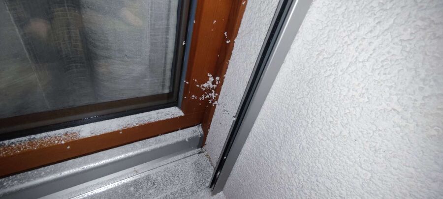 exterminateur d insectes a-Saint-Livres.jpg