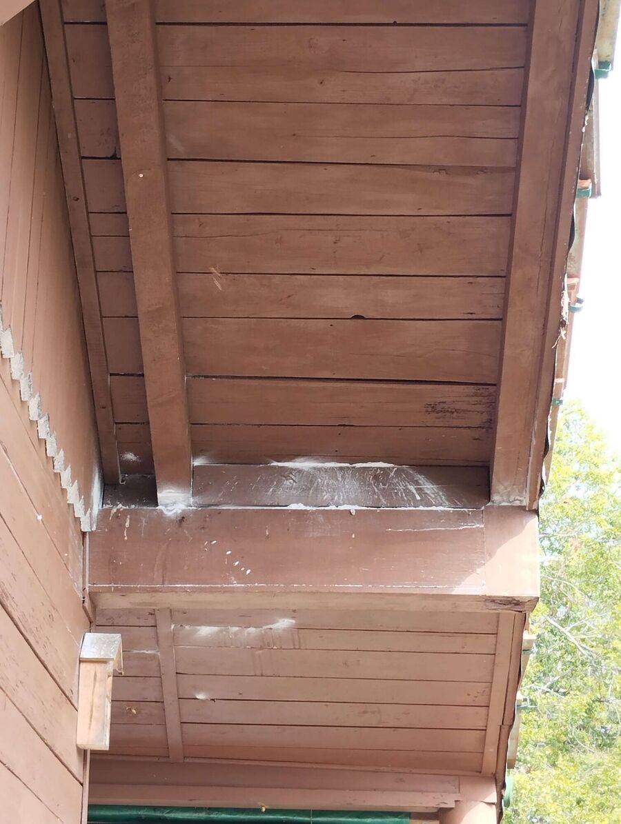 exterminateur d insectes a-Saint-Saphorin (Lavaux).jpg